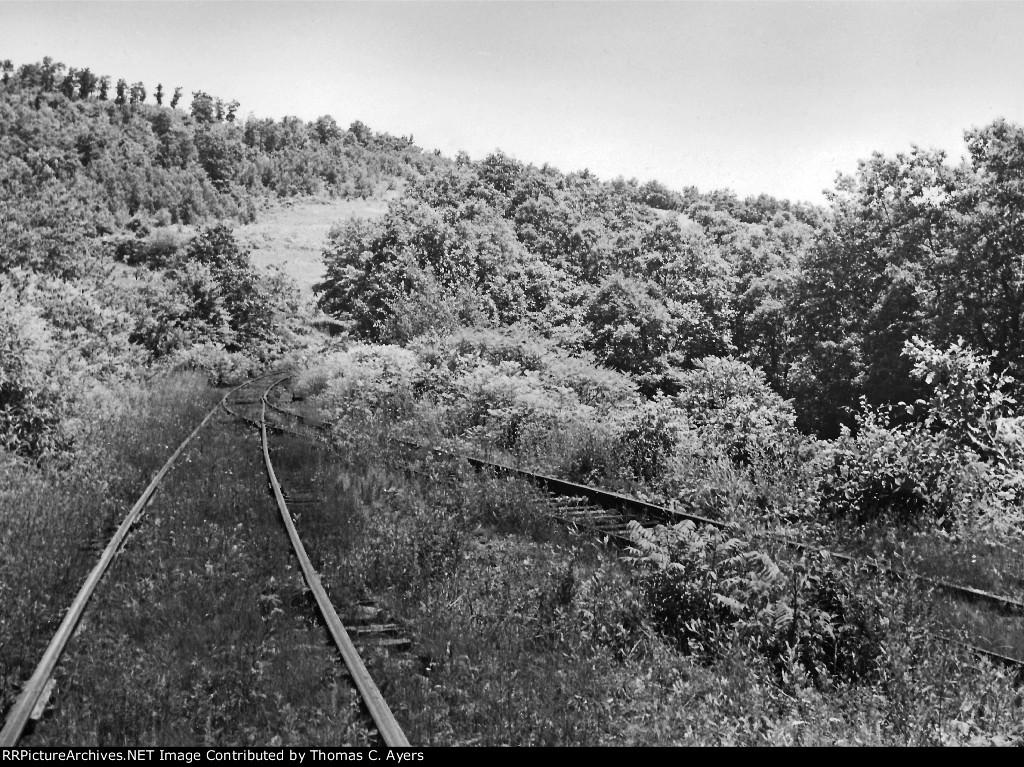 PRR Allegheny Vistas, #2 of 4, c. 1953